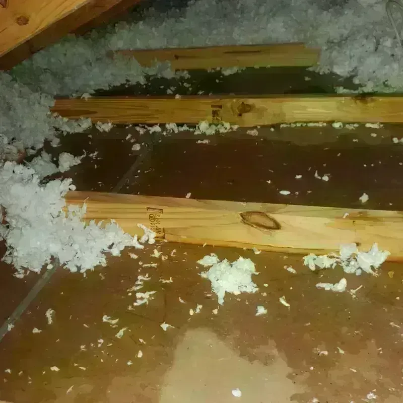 Attic Water Damage in Homer, GA