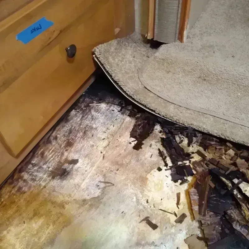 Wood Floor Water Damage in Homer, GA